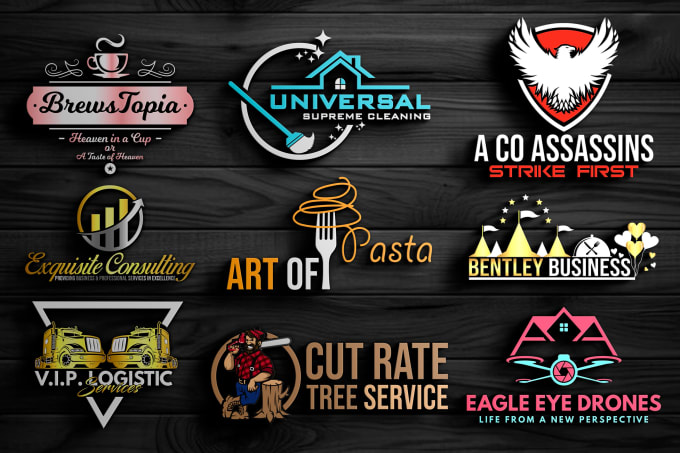 I will do professional minimalist business logo design