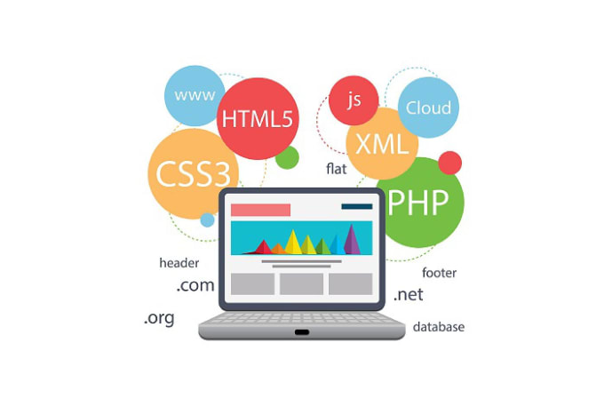 I will develop responsive web based application for any platform