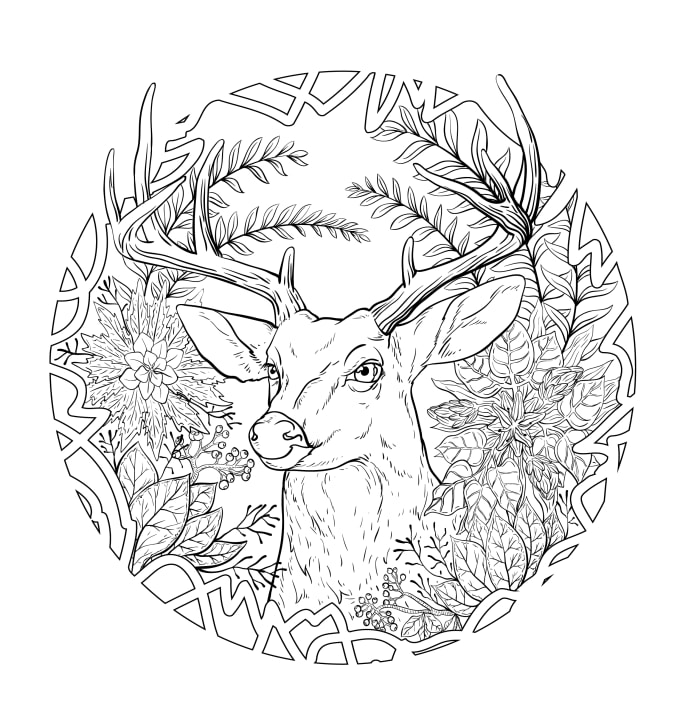 I will draw a digital hand drawn for coloring book page